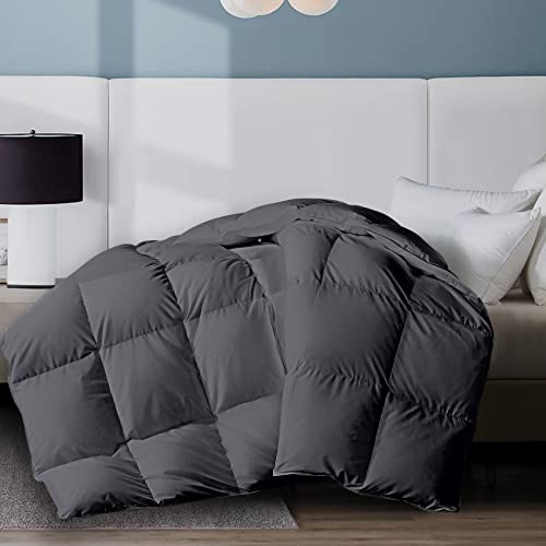 WhatsBedding Gray 100% Cotton Goose Duck Feather Down Comforter