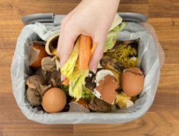 The Best Indoor Compost Bins