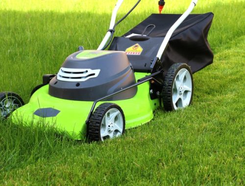 The Best Electric Lawn Mowers